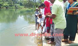 മ​ണി​മ​ല​യാ​റ്റി​ലേ​ക്ക് ര​ണ്ടു ല​ക്ഷം  മ​ത്സ്യ​ക്കു​ഞ്ഞു​ങ്ങ​ൾ