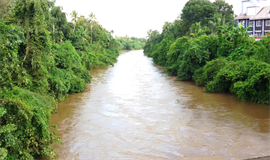 ന​ദീ​സം​യോ​ജ​ന പ​ദ്ധ​തി പ​ന്പ​യു​ടെ​യും  അ​ച്ച​ൻ​കോ​വി​ലാ​റി​ന്‍റെ​യും മ​ര​ണ​മ​ണി