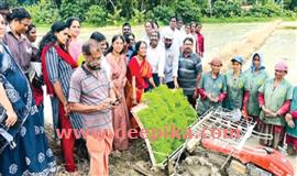 അ​റു​നൂറ്റിമം​ഗ​ലം വി​ത്തു​ത്പാദ​ന  കേ​ന്ദ്ര​ത്തി​ൽ യന്ത്രനടീലിനു തുടക്കം