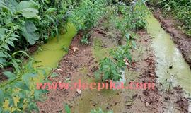 പണി പൂ​ർ​ത്തി​യാ​കും മു​ന്പേ  ചെ​ളി​ക്കു​ണ്ടാ​യി റോഡ്