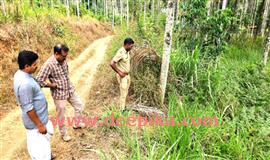 ജ​ന​വാ​സ കേ​ന്ദ്ര​ത്തി​ൽ ക​ടു​വ​യെ  ക​ണ്ട​താ​യി നാ​ട്ടു​കാ​ർ