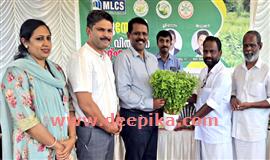 മ​റ്റ​ത്തൂ​ര്‍ ലേ​ബ​ര്‍ സൊ​സൈ​റ്റി സം​സ്ഥാ​നവ്യാ​പ​ക​മാ​യി  കു​റു​ന്തോ​ട്ടികൃ​ഷി ന​ട​പ്പാ​ക്കു​ന്നു