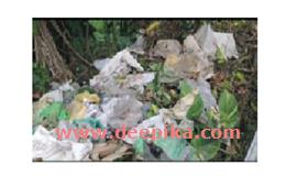 കു​ള​ത്തൂ​പ്പു​ഴ റോ​മ​ൻ ക​ത്തോ​ലി​ക്കാ  പ​ള്ളി​ക്ക് സ​മീ​പം മാ​ലി​ന്യ​ം ത​ള്ളു​ന്നു