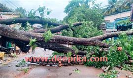 മ​ല​യോ​ര ഗ്രാ​മ​ങ്ങ​ൾ ഇ​രു​ട്ടി​ൽ