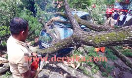 മ​ര​ക്കൊ​ന്പ് ഒ​ടി​ഞ്ഞു വീ​ണ് നാ​ല് വാ​ഹ​ന​ങ്ങ​ൾ ത​ക​ർ​ന്നു