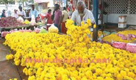 ഓ​ണ​വി​പ​ണി​യി​ൽ വ​ർ​ണ​വസ​ന്തം,  പൂ​ക്ക​ൾ​ക്ക് തീ​വി​ല