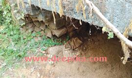 ക​ലു​ങ്കി​ന്‍റെ അ​ടി​ത്ത​റ ത​ക​ര്‍​ന്ന്  അ​പ​ക​ട​ഭീ​ഷ​ണി