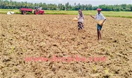 നെന്മാറയിൽ ഒ​ന്നാംവി​ളയൊരു​ക്കം ആ​രം​ഭി​ച്ചു