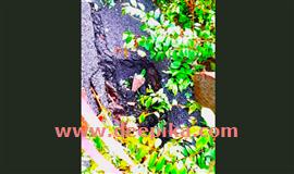 എ​ട്ടി​ക്കു​ളം റോ​ഡി​ൽ അ​പ​ക​ടഭീ​ഷ​ണി​യാ​യി   ഗ​ര്‍​ത്തം; ര​ണ്ടാ​ഴ്ച​യാ​യി​ട്ടും പ​രി​ഹാ​ര​മാ​യി​ല്ല