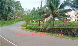 സ്കൂ​ളി​നോ​ട് ചേ​ർ​ന്നു​ള്ള റോ​ഡി​ൽ  സി​ഗ്ന​ൽ സം​വി​ധാ​ന​ങ്ങ​ളില്ല; പ​രാ​തി ന​ൽ​കി