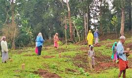 സാ​​മ്പ​​ത്തി​​ക​​വ​​ര്‍​ഷം പ​​കു​​തി പി​​ന്നി​​ടു​​മ്പോ​​ഴും ത​​ദ്ദേ​​ശ​​സ്ഥാ​​പ​​ന പ​​ദ്ധ​​തി​​ക​​ള്‍  ഇ​​ഴ​​യു​​ന്നു