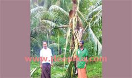 ക​രി​മ്പാ​റ മേ​ഖ​ല​യി​ലെ കാ​ട്ടാ​ന​ക​ളെ   ഉ​ൾ​വ​ന​ത്തി​ലേ​ക്കു തു​ര​ത്തി