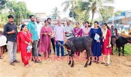 ദു​ര​ന്ത ബാ​ധി​ത​ർ​ക്ക് പോ​ത്ത്,  ആ​ട് വി​ത​ര​ണം ന​ട​ത്തി