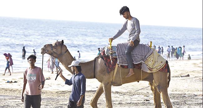 മ​രു​ഭൂ​മി​യി​ലെ ക​പ്പ​ൽ തീ​ര​ത്ത്... കു​ഴു​പ്പി​ള്ളി ബീ​ച്ചി​ൽ സ​ന്ദ​ർ​ശ​ക​രു​മാ​യി സ​വാ​രി​ന​ട​ത്തു​ന്ന ഒ​ട്ട​കം. സ​ഞ്ചാ​രി​ക​ൾ​ക്ക് സ​വാ​രി ന​ട​ത്താ​നാ​യി രാ​ജ​സ്ഥാ​നി​ല്‍ നി​ന്നു​മാ​ണ് ഒ​ട്ട​ക​ത്തെ ബീ​ച്ചി​ലെ​ത്തി​ച്ചി​രി​ക്കു​ന്ന​ത്.