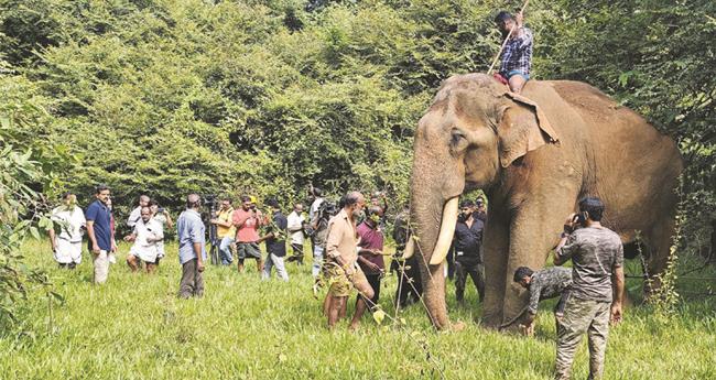 കോ​ത​മം​ഗ​ലം തു​ണ്ട​ത്ത് സി​നി​മാ​ഷൂ​ട്ടിം​ഗി​നി​ടെ നാ​ട്ടാ​ന​ക​ൾ ത​മ്മി​ലു​ണ്ടാ​യ ഏ​റ്റു​മു​ട്ട​ലി​ൽ കാ​ടു​ക​യ​റി​യ "പു​തു​പ്പ​ള്ളി സാ​ധു